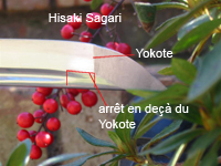 hisaki sagari